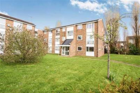 2 Bedroom Flat